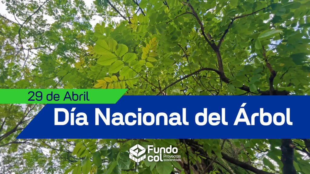 Día Nacional del Árbol - Fundocol